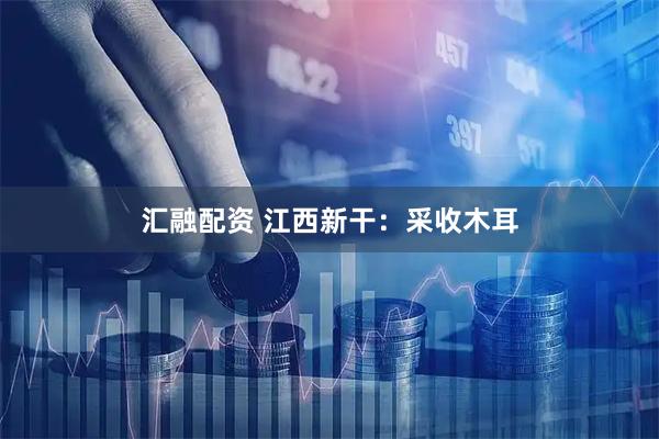 汇融配资 江西新干：采收木耳