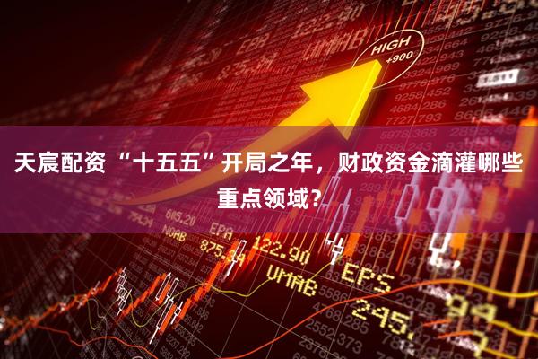 天宸配资 “十五五”开局之年，财政资金滴灌哪些重点领域？